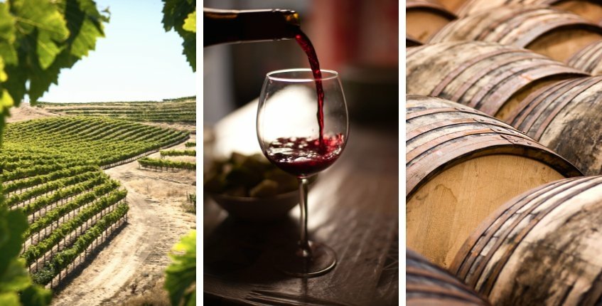 Luxury Travel Itineraries - Wine Paths